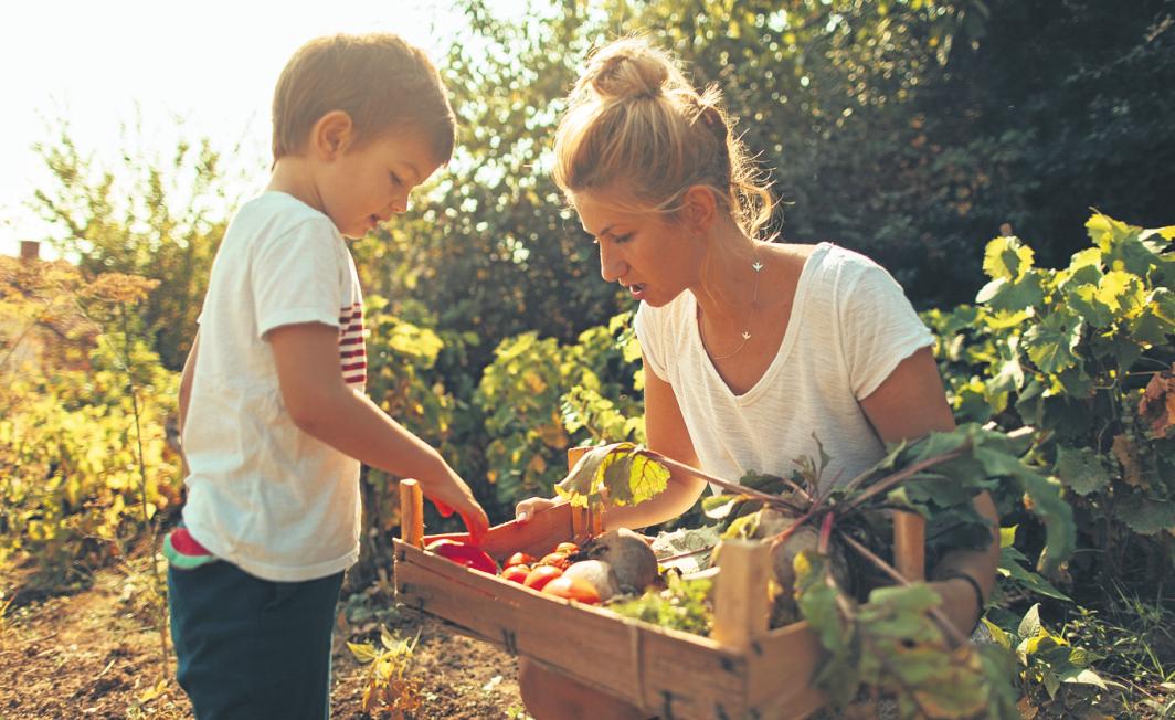 Gerade Kinder müssen den Verzicht auf tierische Proteine nicht als solchen empfinden, wenn sie an schmackhafte Alternativen herangeführt werden. FOTO: ALEKSANDARNAKIC / ISTOCK Gerade Kinder müssen den Verzicht auf tierische Proteine nicht als solchen empfinden, wenn sie an schmackhafte Alternativen herangeführt werden. FOTO: ALEKSANDARNAKIC / ISTOCK