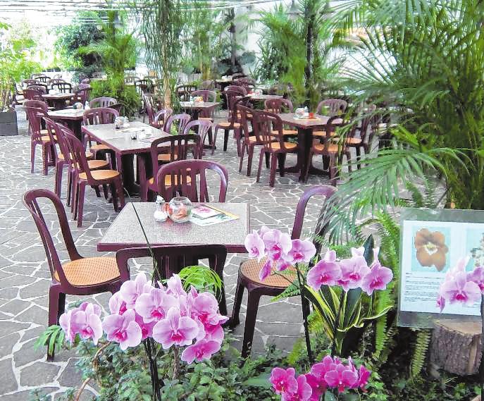 Die blühenden Orchideen sorgen für ein besonderes Ambiente im Café. Bild: Café Orchidee Die blühenden Orchideen sorgen für ein besonderes Ambiente im Café. Bild: Café Orchidee