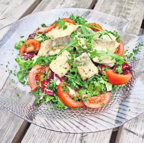 Gebratene Seefischfilets auf Sommersalat – ein gesundes Gericht, das in 15 Minuten auf dem Tisch steht. Gebratene Seefischfilets auf Sommersalat – ein gesundes Gericht, das in 15 Minuten auf dem Tisch steht.