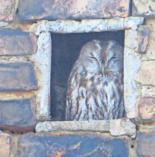Der Naturpark Stechlin-Ruppiner Land lohnt einen Besuch. FOTO: NATURPARKHAUS MENZ Der Naturpark Stechlin-Ruppiner Land lohnt einen Besuch. FOTO: NATURPARKHAUS MENZ