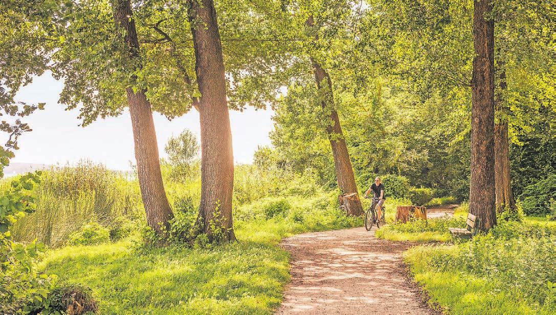 Der Havelradweg sorgt für ein entspanntes Erlebnis fernab der Stadt. Foto: visitBerlin/Dagmar Schwelle Der Havelradweg sorgt für ein entspanntes Erlebnis fernab der Stadt. Foto: visitBerlin/Dagmar Schwelle