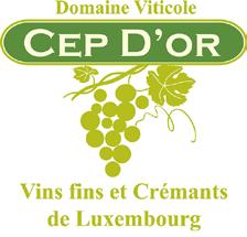 Cep d’or, j´adore Cep d’or, j´adore