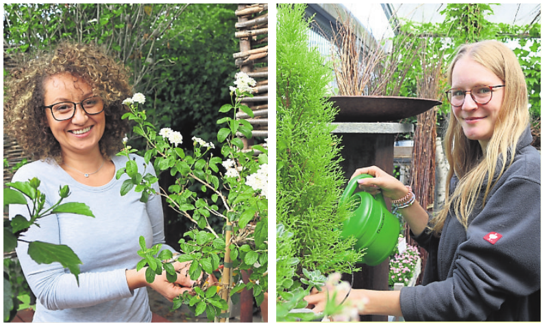 .... Mandica Kaijic (links) und Livia Reißig (rechts) in den drei Filialen des „Blumenhaus Chrysanthem“ in Eberstadt, am Prinz-Emil-Garten („Meisterflorist“) und am Alten Friedhof. Fotos: Andrea Glogowski .... Mandica Kaijic (links) und Livia Reißig (rechts) in den drei Filialen des „Blumenhaus Chrysanthem“ in Eberstadt, am Prinz-Emil-Garten („Meisterflorist“) und am Alten Friedhof. Fotos: Andrea Glogowski
