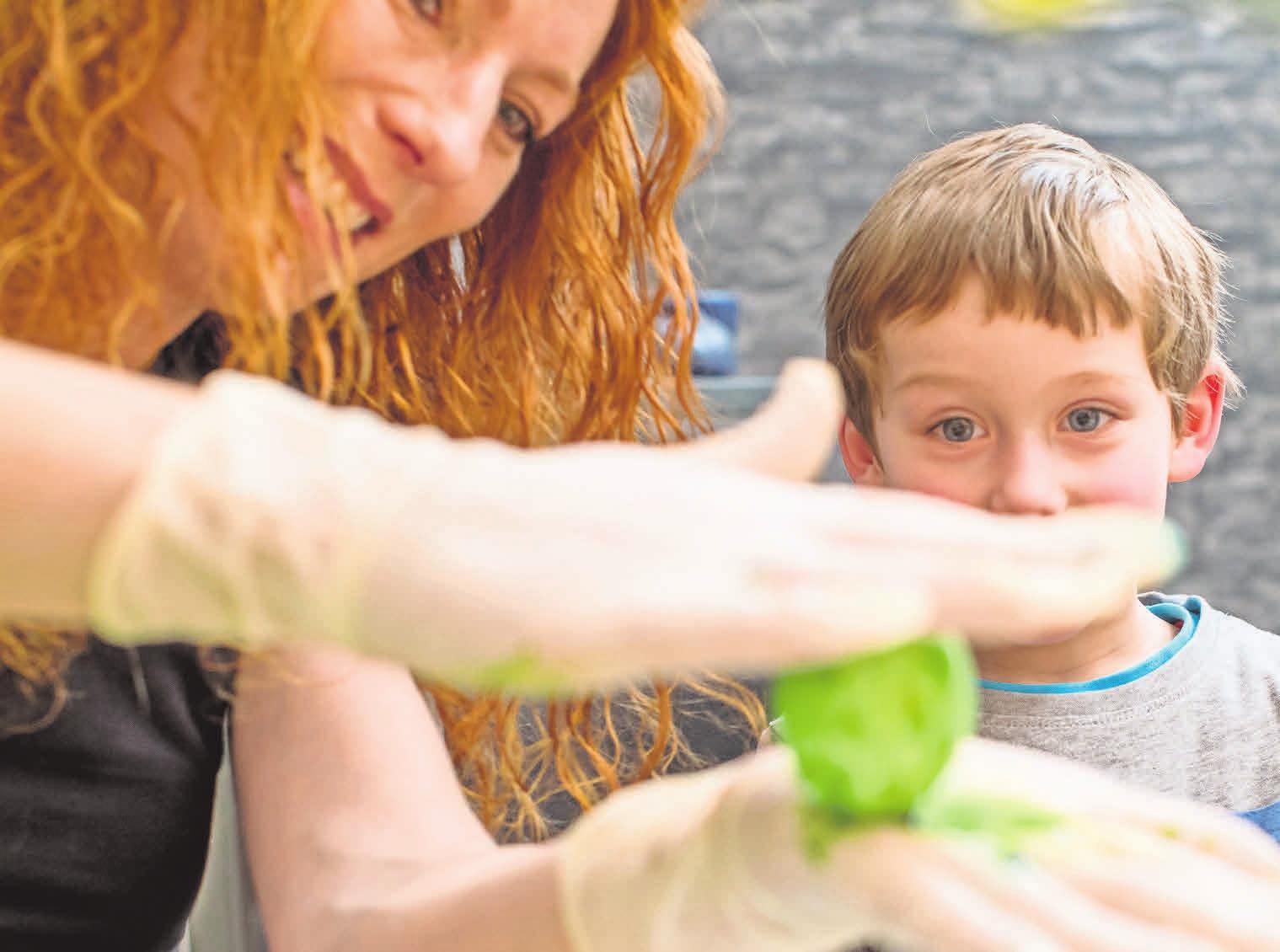 Da strahlen Kinderaugen: Ein Sud aus Spinatblättern sorgt für natürlich gefärbte Eier. Foto:Christin Klose/dpa-mag Da strahlen Kinderaugen: Ein Sud aus Spinatblättern sorgt für natürlich gefärbte Eier. Foto:Christin Klose/dpa-mag