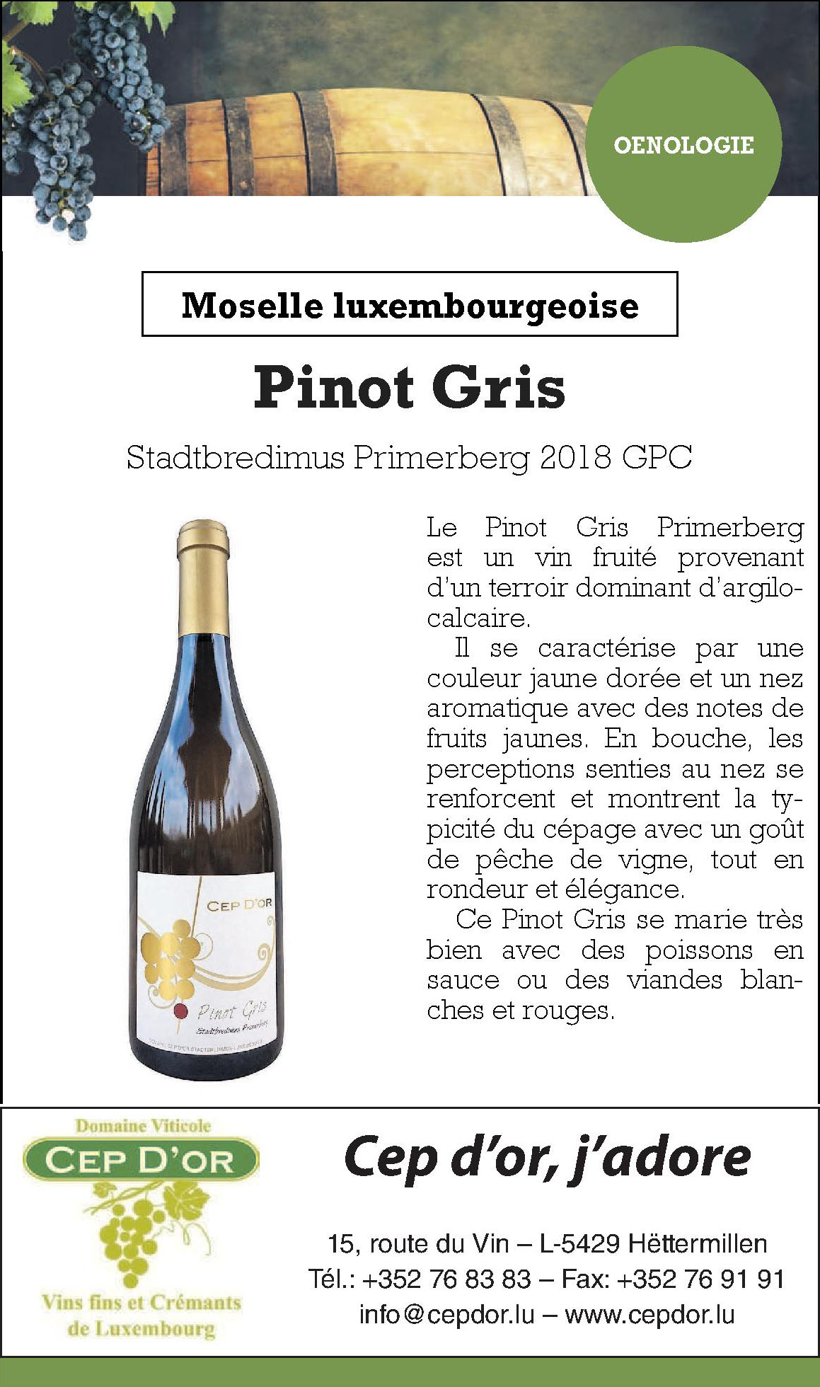 Cep d’or, j´adore