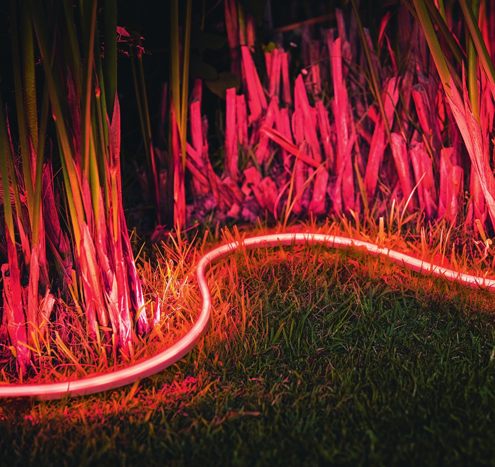 Philips Hue (Signify) erhellt Wege. Philips Hue (Signify) erhellt Wege.