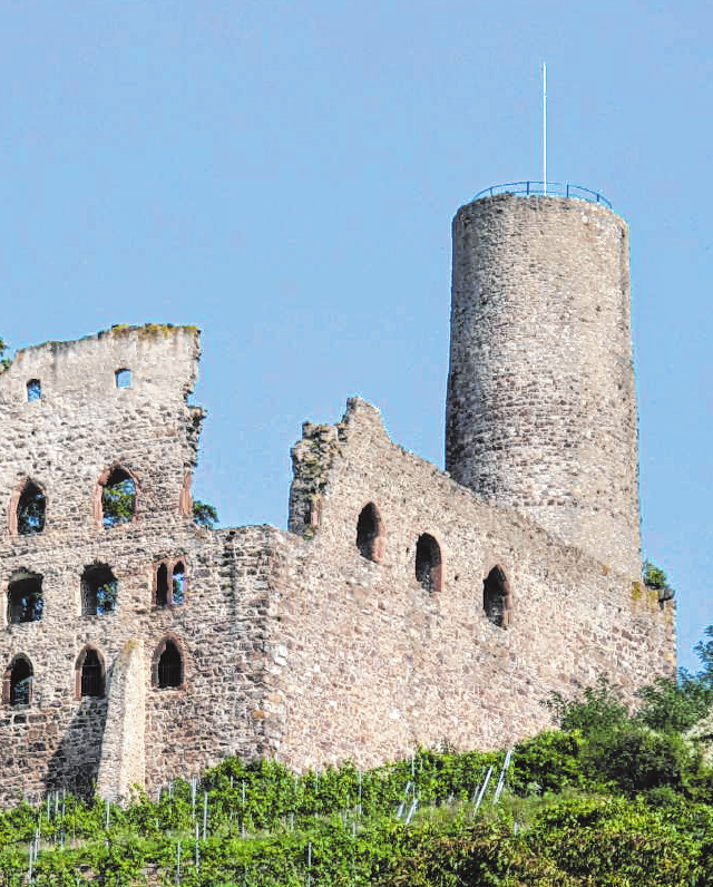 Zahlreiche Feste rund um den Rebensaft