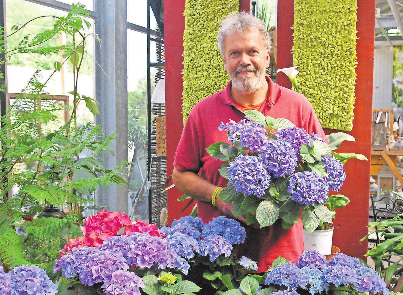 Bernd Kessebom von florus mag die Vielfalt der Hortensien. Bernd Kessebom von florus mag die Vielfalt der Hortensien.