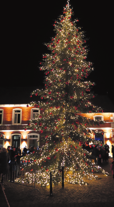 Auch in diesem Jahr eine Attraktion: Der große Weihnachtsbaum vor der Scheune Leiber. Foto: Kerstin Burdiek