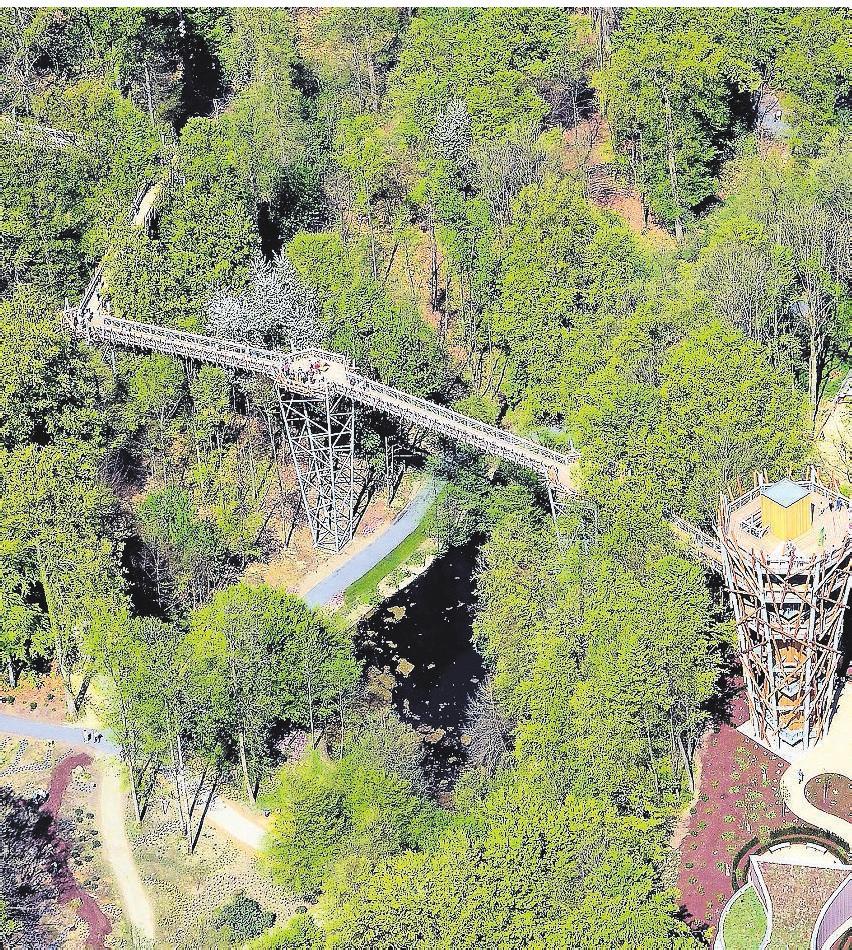 Neue Perspektiven, tolle Naturerlebnisse: Baumwipfelpfad in Bad Iburg. Foto: Helmut Schmidt Neue Perspektiven, tolle Naturerlebnisse: Baumwipfelpfad in Bad Iburg. Foto: Helmut Schmidt