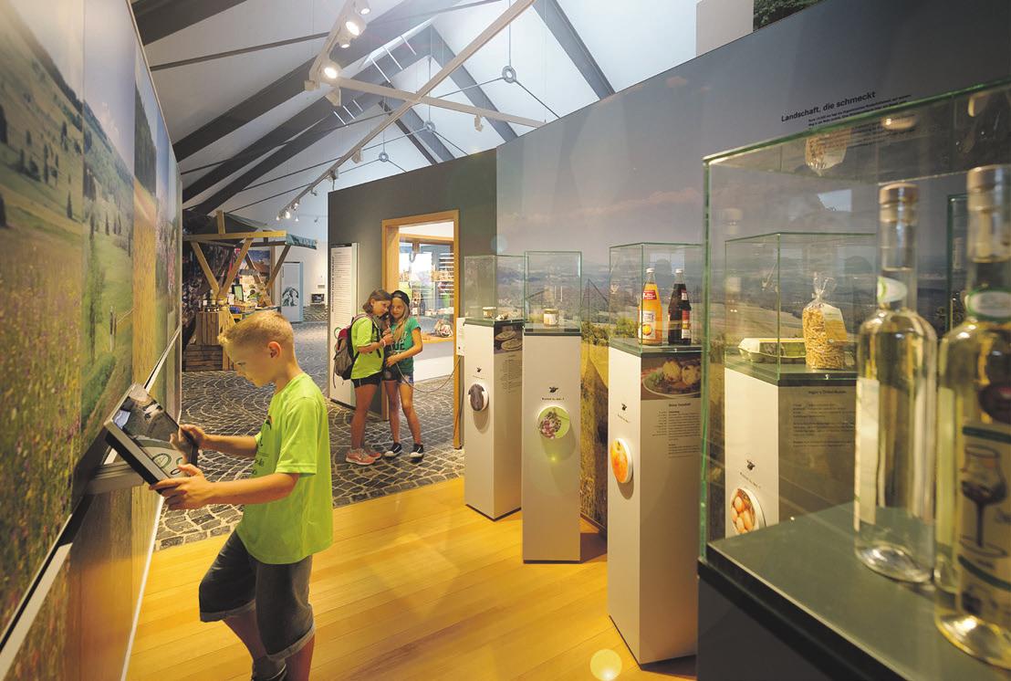Das Biosphärenzentrum „Haus der Langen Rhön“ zeigt spannende Dauer- und Sonderausstellungen und erklärt, was eigentlich ein Biosphärenreservat ausmacht. Foto: Flavio Burul