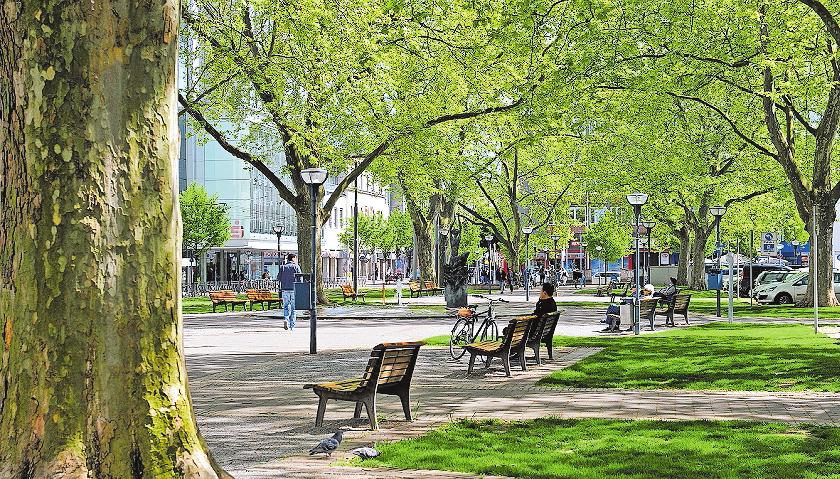 Einer der ältesten und gleichzeitig schönsten Plätze der Stadt: der Ludwigsplatz. FOTO: STADT LUDWIGSHAFEN/FREI Einer der ältesten und gleichzeitig schönsten Plätze der Stadt: der Ludwigsplatz. FOTO: STADT LUDWIGSHAFEN/FREI