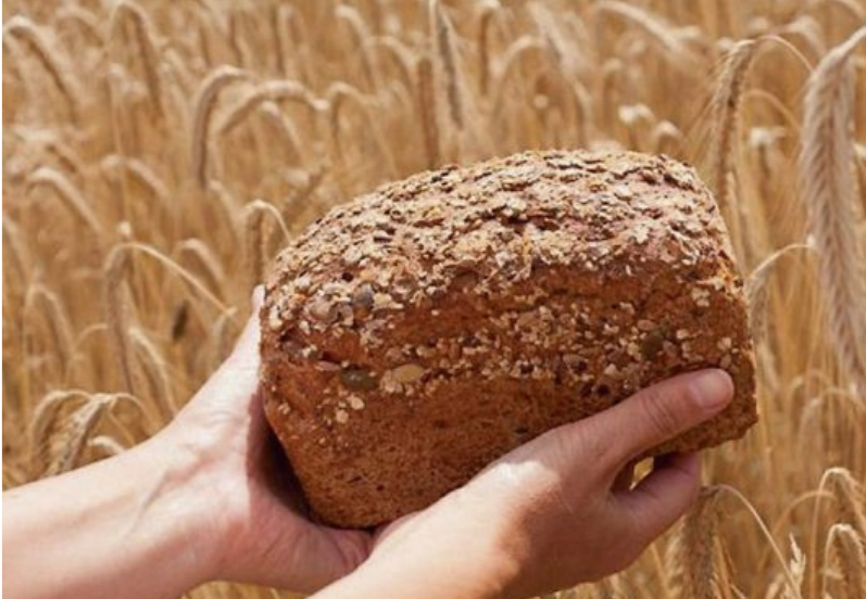 Kastenbrot aus frisch gemahlenem Korn. Kastenbrot aus frisch gemahlenem Korn.
