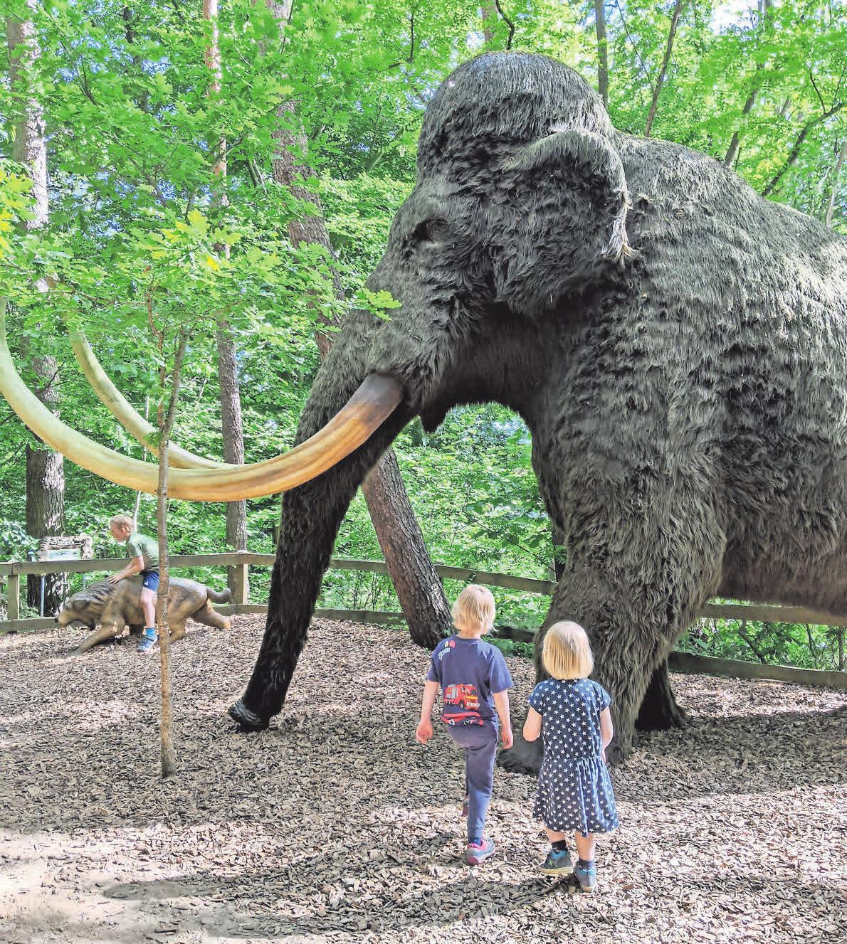 Fünf Familienpakete für den Dinopark Münchehagen erfreuen die Gewinner. Fünf Familienpakete für den Dinopark Münchehagen erfreuen die Gewinner.