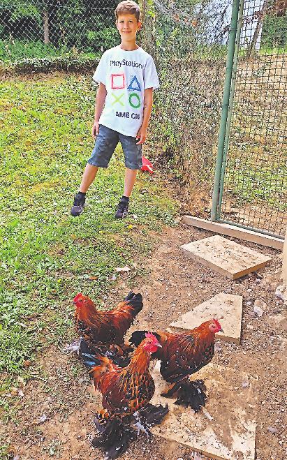Züchter Luca Döring mit seinen federfüßigen Zwerghühnern. ARCHIVFOTO: KZV ISPRINGEN