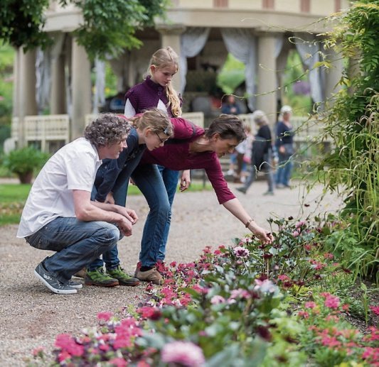 Europa hat viele Blumenparadiese zu bieten, die in komfortablen Fahrzeugen entspannt und in angenehmer Gesellschaft erreicht werden können. Europa hat viele Blumenparadiese zu bieten, die in komfortablen Fahrzeugen entspannt und in angenehmer Gesellschaft erreicht werden können.