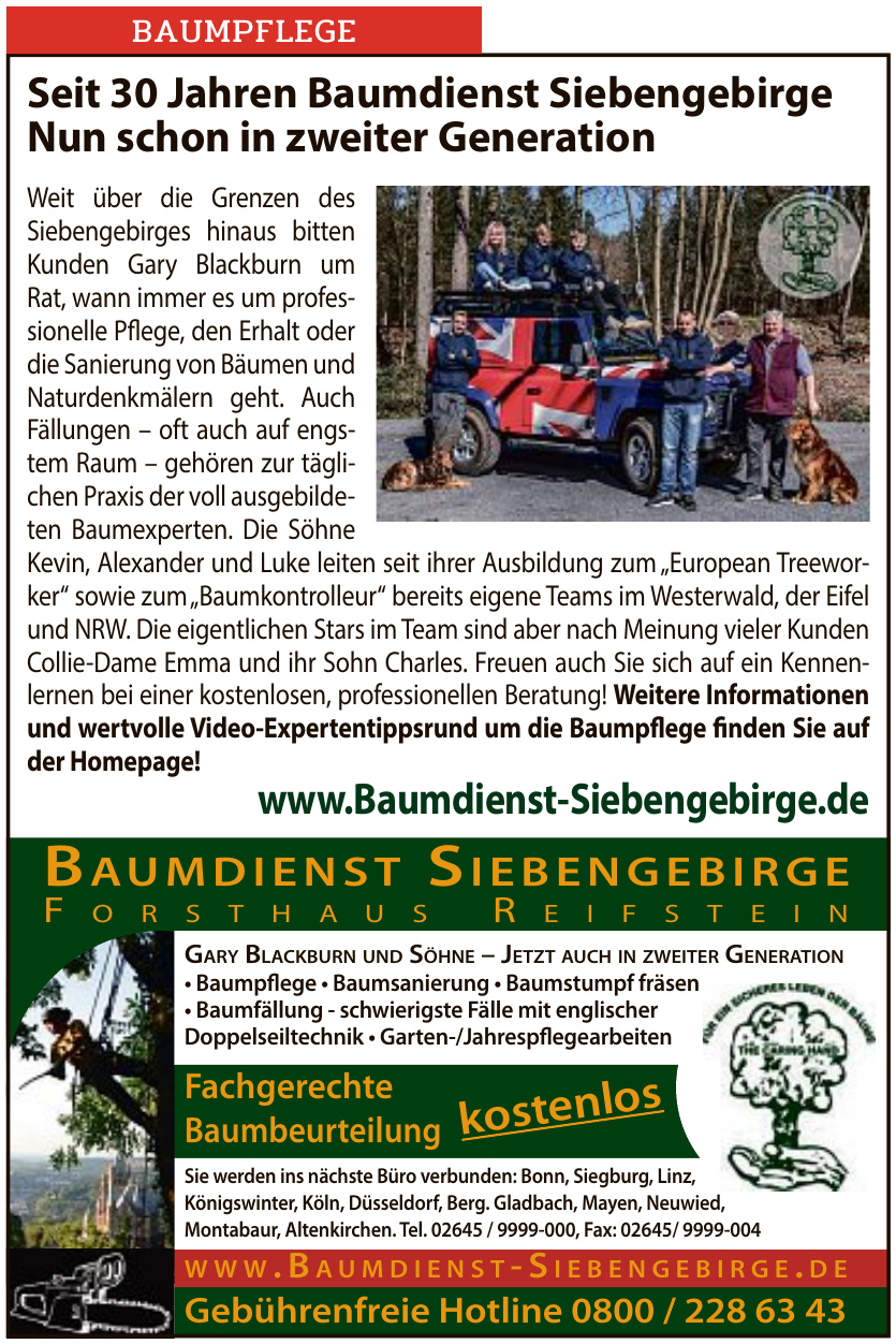 Baumdienst Siebengebirge Baumdienst Siebengebirge