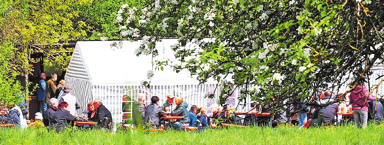 Im Schatten blühender Bäume feiern die Hengstbacher und ihre Gäste das Blütenfest. FOTO:MOSCHEL Im Schatten blühender Bäume feiern die Hengstbacher und ihre Gäste das Blütenfest. FOTO:MOSCHEL