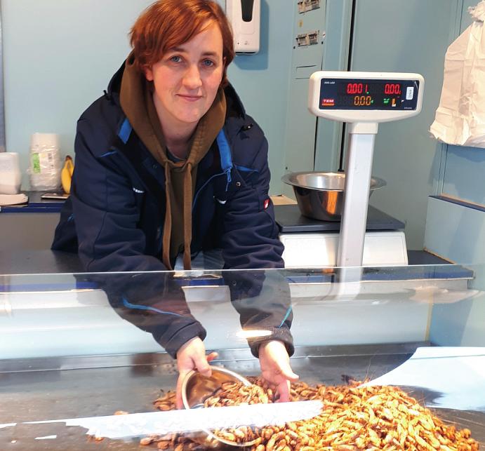 Sonja Münz aus Marne verkauft auf dem Wochenmarkt fangfrische Büsumer Krabben