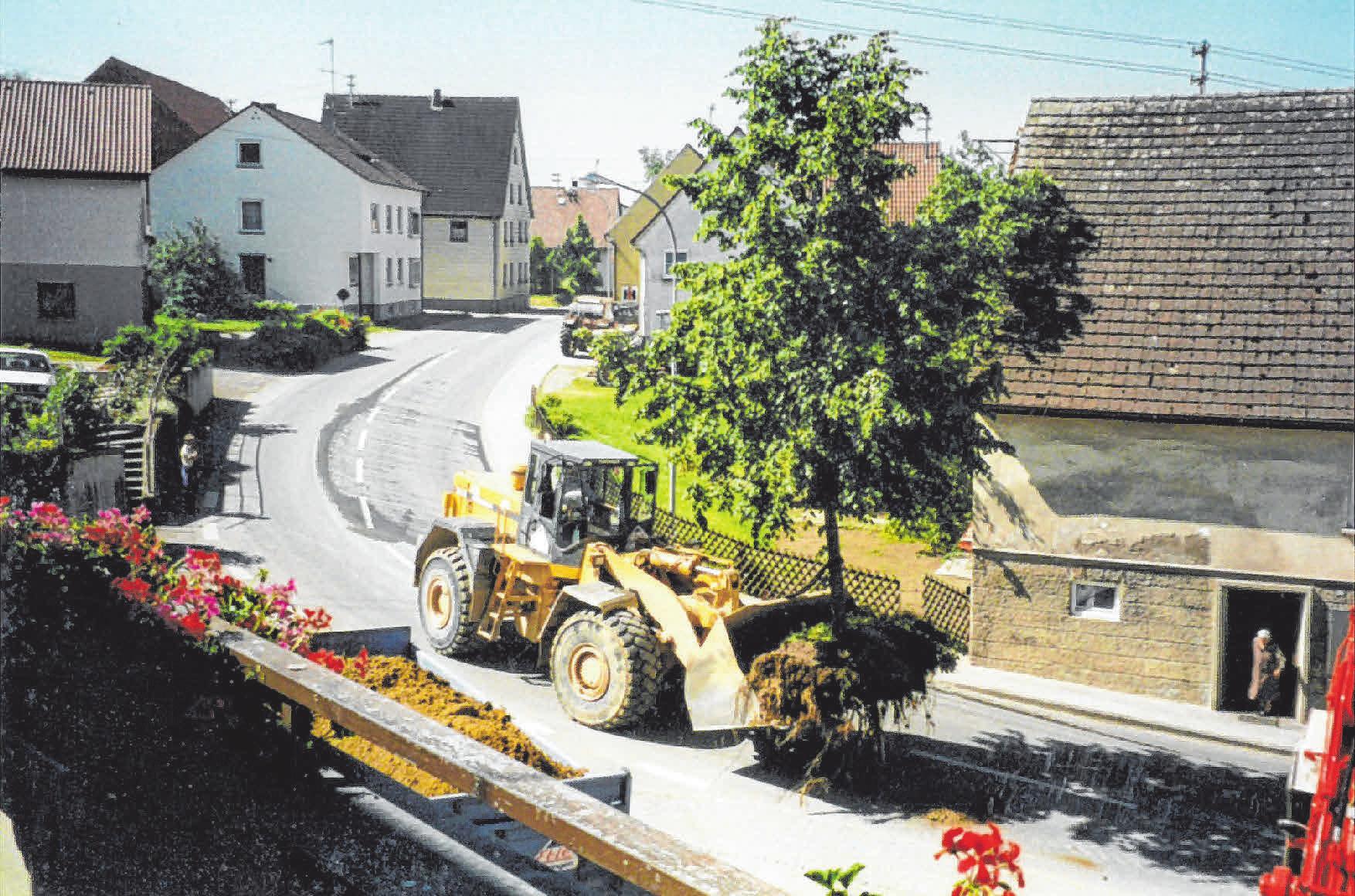 Schon dem Firmengründer lag die Natur am Herzen. Eine Linde, die gefällt werden sollte, fuhr er zu sich nach Hause. FOTO: PRIVAT Schon dem Firmengründer lag die Natur am Herzen. Eine Linde, die gefällt werden sollte, fuhr er zu sich nach Hause. FOTO: PRIVAT