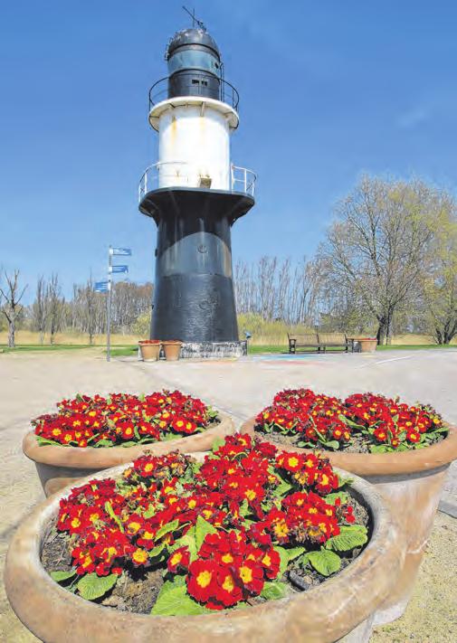 Blumen am Meer – das hatte schon 2003 zur Internationalen Gartenschau in Rostock begeistert. 2025 will die Hansestadt nun die Bundesgartenschau ausrichten. Foto: Bernd Wüstneck Blumen am Meer – das hatte schon 2003 zur Internationalen Gartenschau in Rostock begeistert. 2025 will die Hansestadt nun die Bundesgartenschau ausrichten. Foto: Bernd Wüstneck