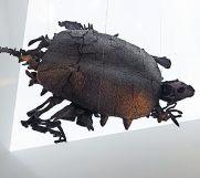 ... und Schildkröte. | Foto: Huwig ... und Schildkröte. | Foto: Huwig