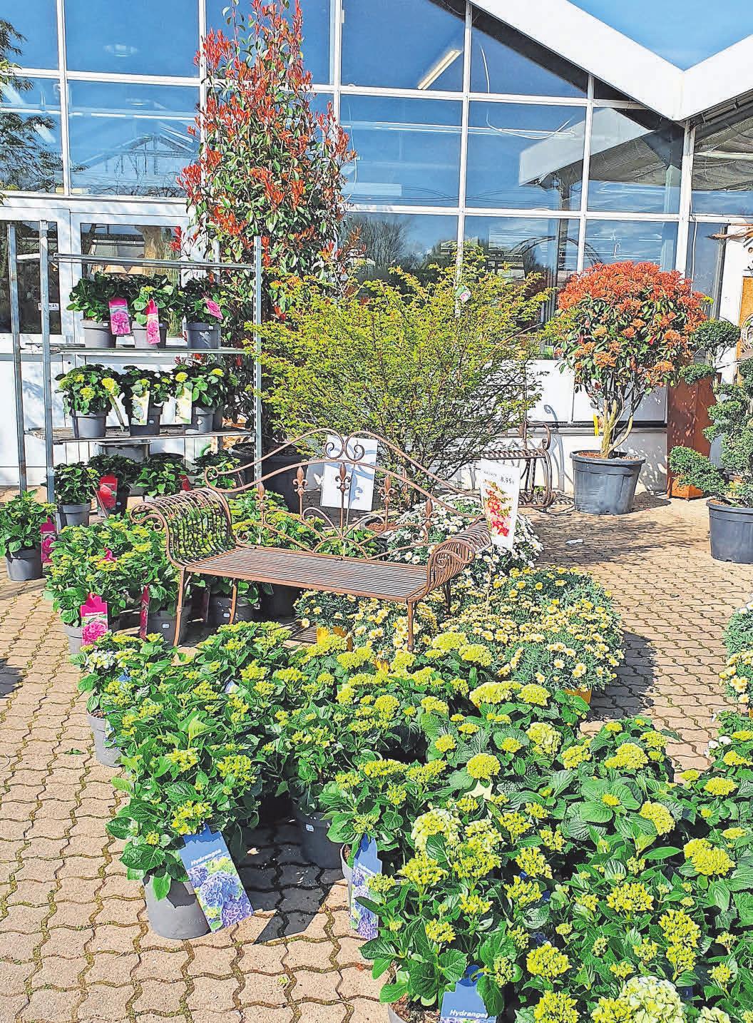 Der Frühling ist da – und der Weg ins Gartenparadies offen. Der Frühling ist da – und der Weg ins Gartenparadies offen.