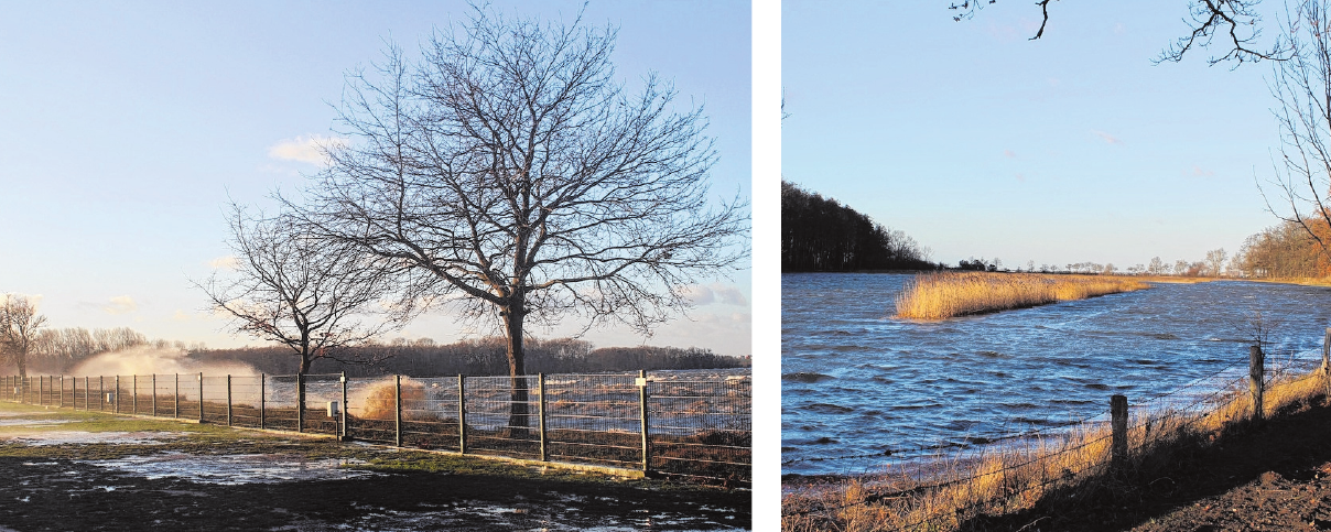 Sturmtief „Zeetje“ zog Anfang des Jahres durchs Land. Diese nicht alltäglichen Fotos machte die Zierowerin Monika Bertow. Sturmtief „Zeetje“ zog Anfang des Jahres durchs Land. Diese nicht alltäglichen Fotos machte die Zierowerin Monika Bertow.