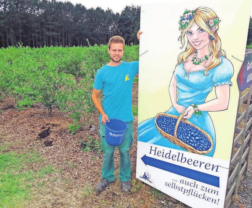 Gärtnermeister Fabian Wassermann lädt in die neue Heidelbeerplantage ein. Gärtnermeister Fabian Wassermann lädt in die neue Heidelbeerplantage ein.