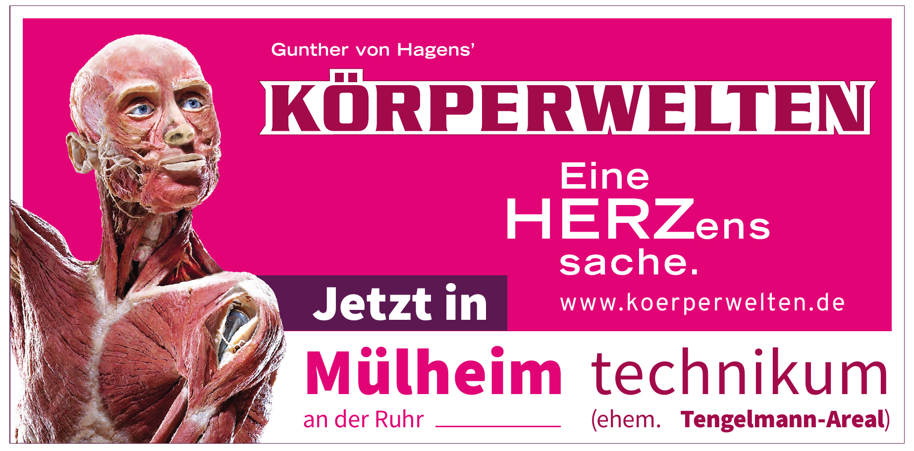 Institut für Plastination e.K. Institut für Plastination e.K.
