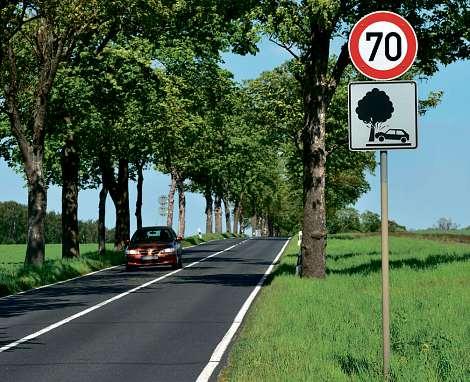 Schmale Landstraßen bedeuten ein besonderes Unfallrisiko für Fahranfänger Foto: Dekra