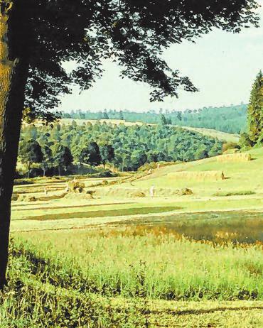 Heuernte 1958: Die Fotografien stammen aus dem Besitz von Gerhard Moos. Heuernte 1958: Die Fotografien stammen aus dem Besitz von Gerhard Moos.