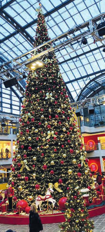 Im Stadtzentrum Schenefeld steht der größte Center-Weihnachtsbaum Deutschlands Foto: Stadtzentrum Schenefeld