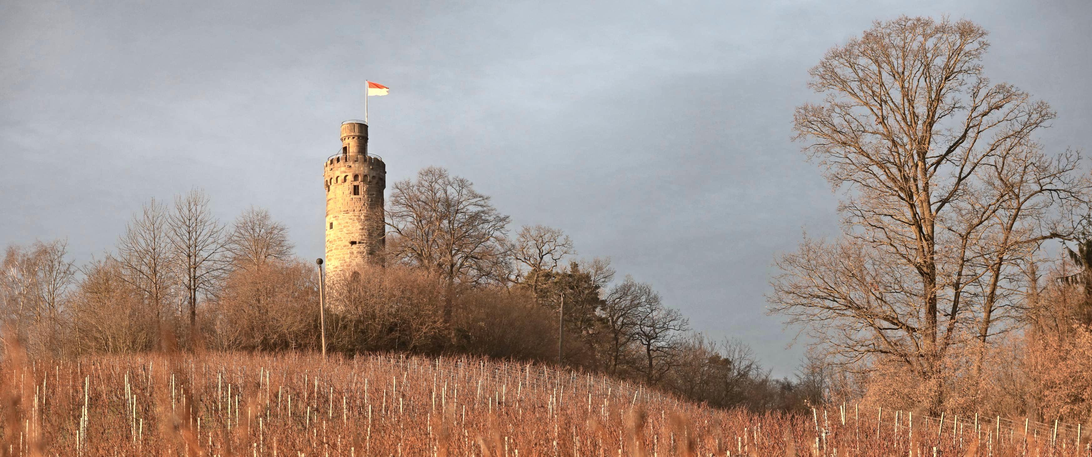 Unterhalb der Heuchelberger Warte haben sich Großgartach und Schluchtern prächtig entwickelt. Foto: Ralf Seidel Unterhalb der Heuchelberger Warte haben sich Großgartach und Schluchtern prächtig entwickelt. Foto: Ralf Seidel