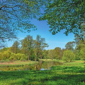Grüne Idylle: der Lennépark in Blumberg mit seinem alten Baumbestand. FOTO: ISTOCK / EBENART Grüne Idylle: der Lennépark in Blumberg mit seinem alten Baumbestand. FOTO: ISTOCK / EBENART