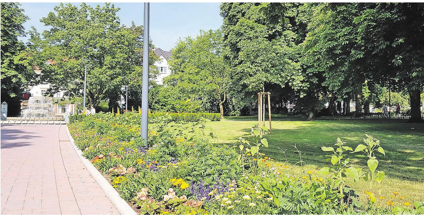 Blumenbeete im neuen Kurpark. Foto: Sabine Leclercq-Fröbel Blumenbeete im neuen Kurpark. Foto: Sabine Leclercq-Fröbel