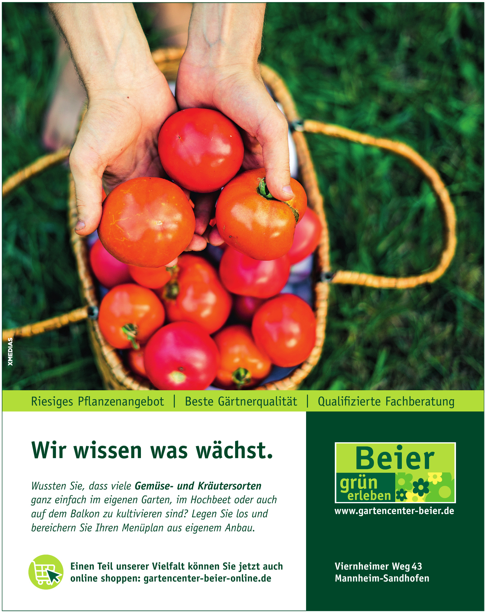 Beier GmbH & Co. KG Beier GmbH & Co. KG