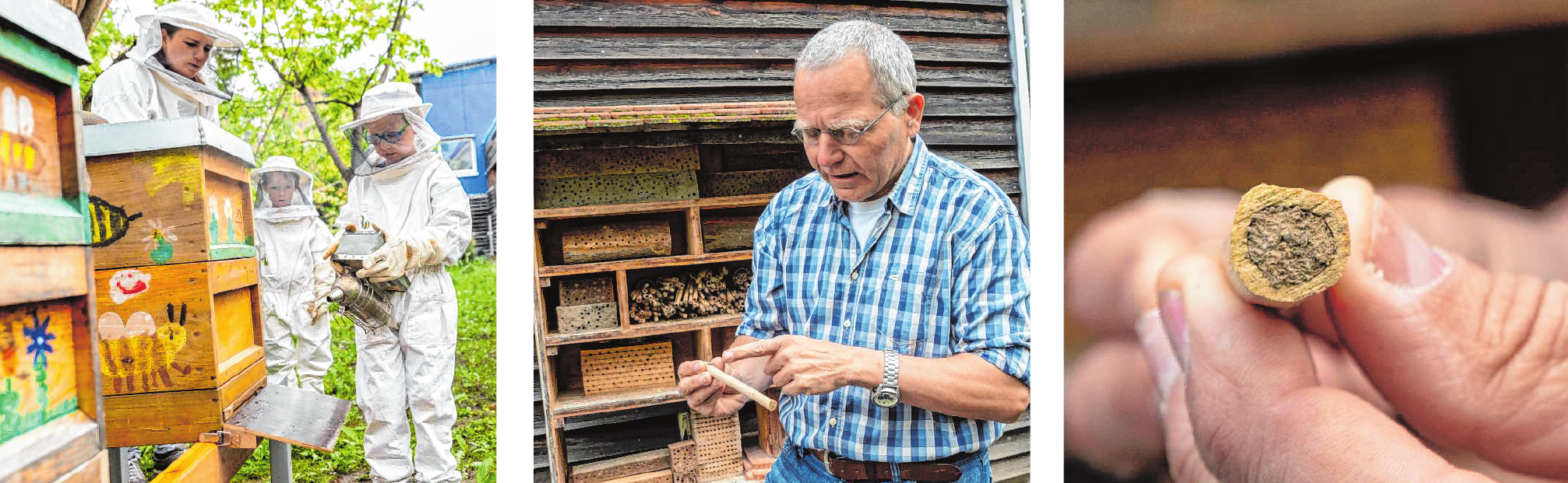 Nicht nur Honigbienen fühlen sich auf dem Gelände der Kita Kappesgärten wohl – auch für Wildbienen wurde ein Lebensraum geschaffen. Imker Johannes Lückmann erläutert das Wildbienenhotel. Bilder: Thomas Neu