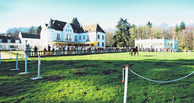 Das Gestüt in Röttgen mit dem alten Schloss und Pavillion. Foto: Marc Ruehl Das Gestüt in Röttgen mit dem alten Schloss und Pavillion. Foto: Marc Ruehl