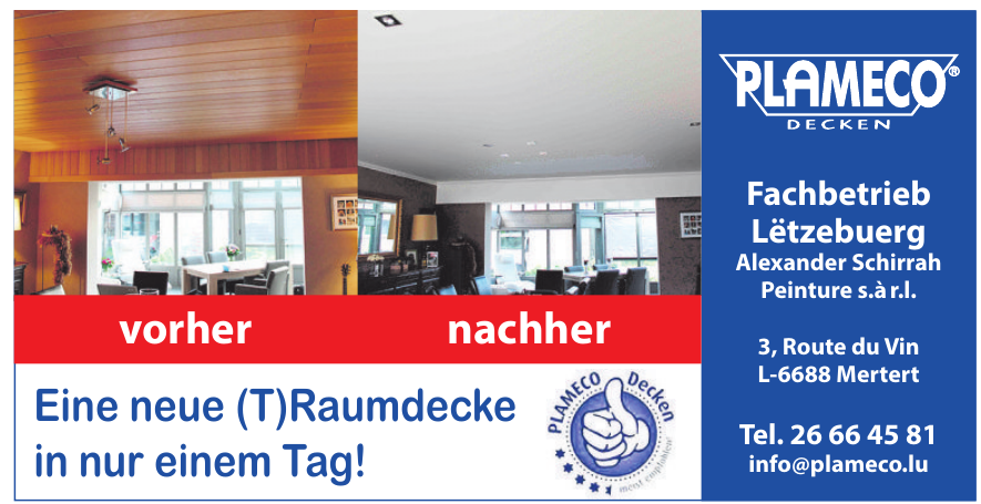 Plameco Decken - Alexander Schirrah Peinture s.àr.l.