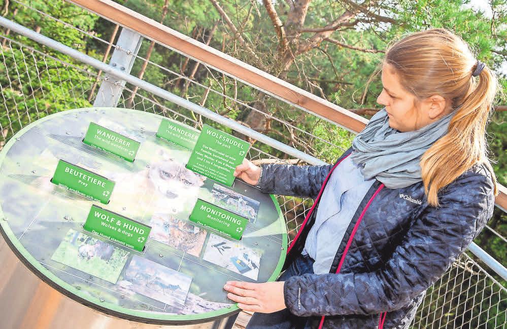 Der Baumwipfelpfad bietet viele Informationen über die heimische Natur und ihre Tierarten. Der Baumwipfelpfad bietet viele Informationen über die heimische Natur und ihre Tierarten.