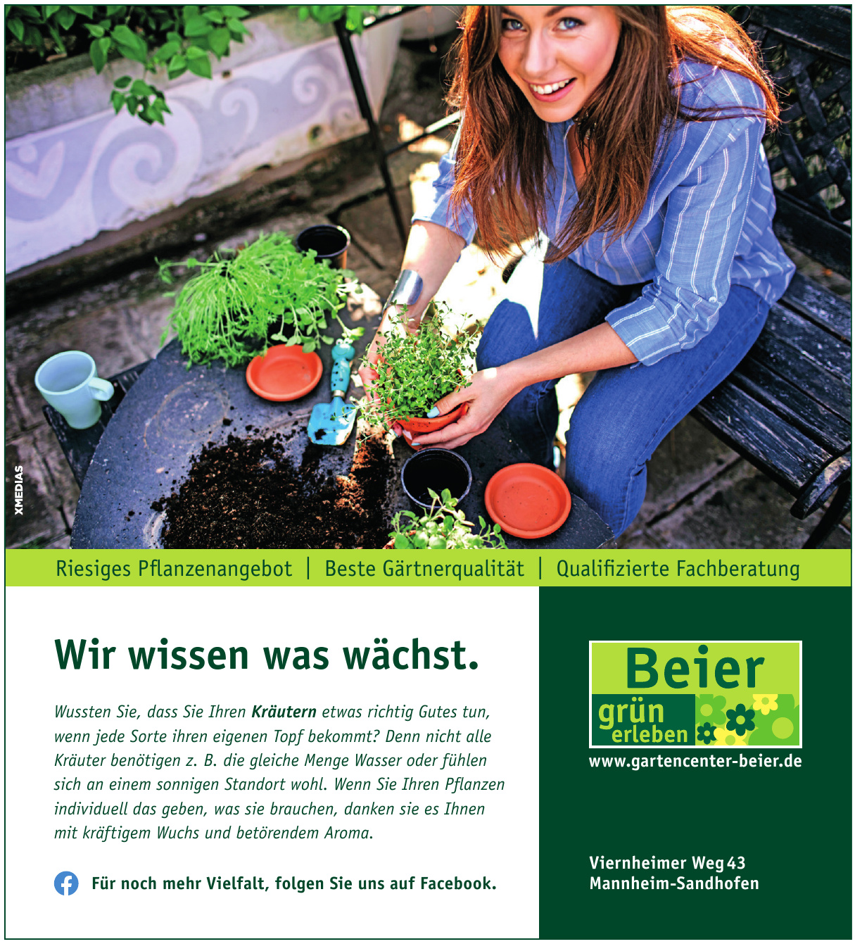Beier GmbH & Co. KG Beier GmbH & Co. KG