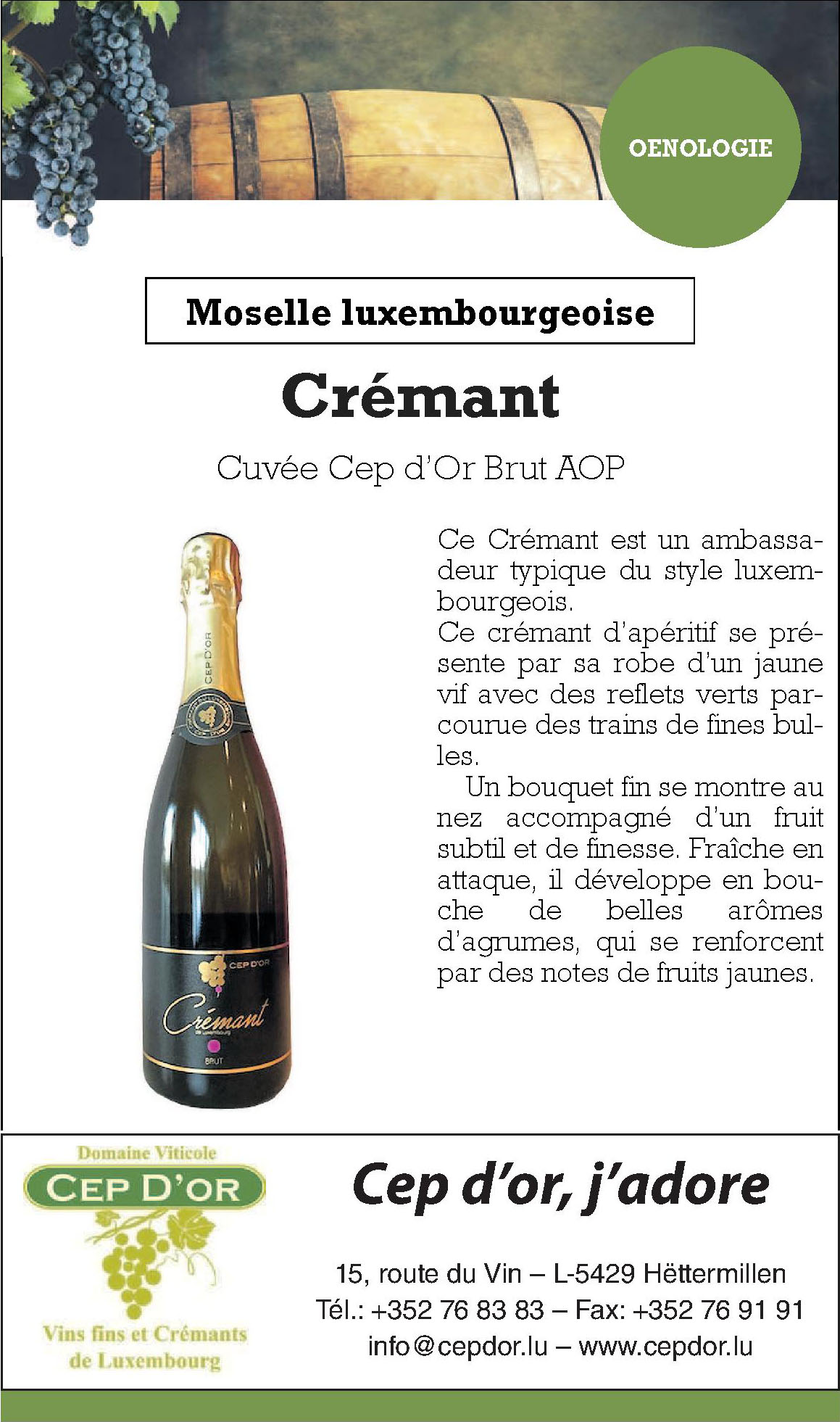 Cep d’or, j´adore