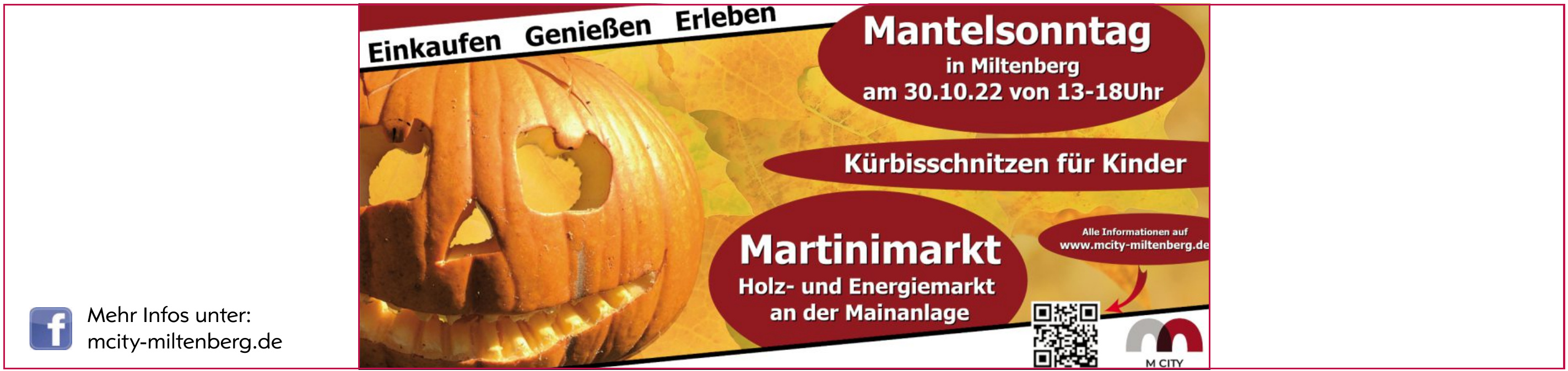 Martinimarkt - Holz- und Energiemarkt an der Mainanlage