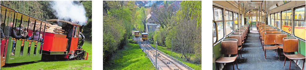 Durch den Schlossgarten, hoch zum Turmberg Image 1 Durch den Schlossgarten, hoch zum Turmberg Image 1