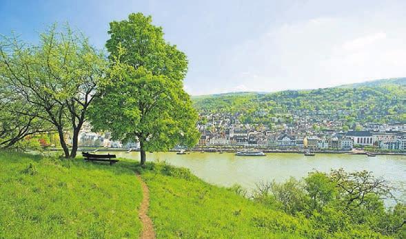 Etappenziel mit Blick auf den Rhein. Etappenziel mit Blick auf den Rhein.