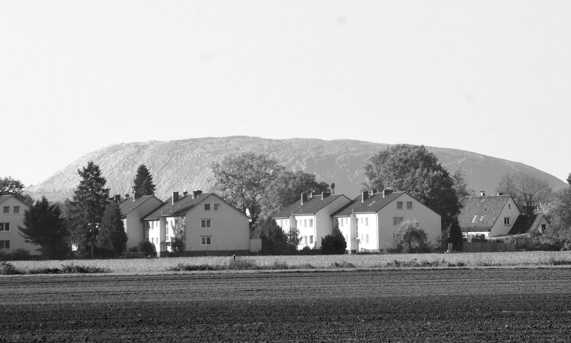 Die Kalihalde Wathlingen beschäftigt seit Jahren die heimische Politik. Archivfoto: Wasinski Die Kalihalde Wathlingen beschäftigt seit Jahren die heimische Politik. Archivfoto: Wasinski