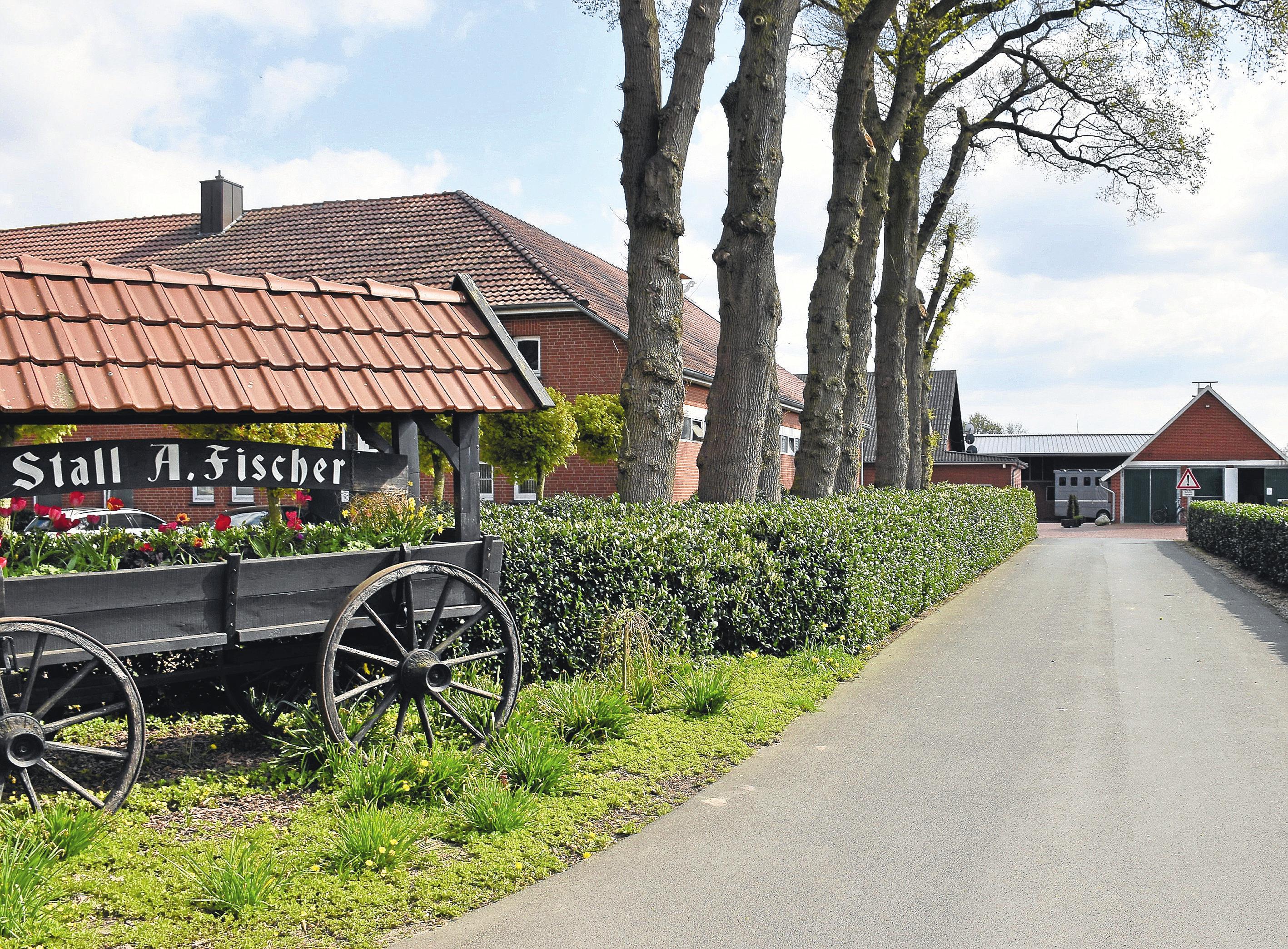 Die Zufahrt zur Hofanlage Arnold Fischer: Seit einigen Jahren ist sie im Besitz des Lohner Unternehmers. Zuvor gehörte sie der Familie Kathmann. Die Hengststation Kathmann wurde bereits im Jahr 1938 gegründet.