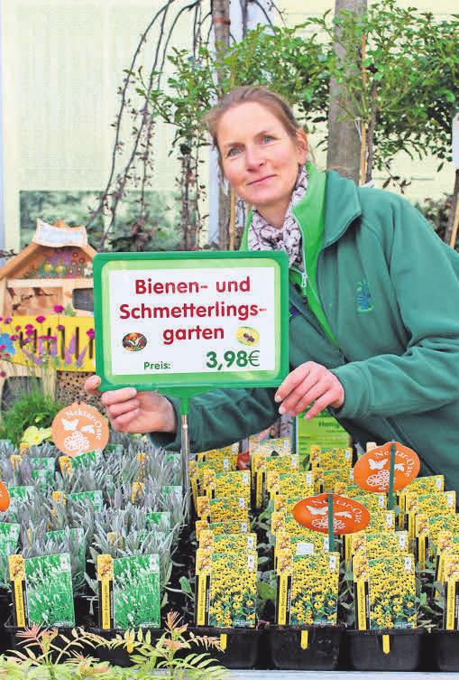 Mit Bienenährpflanzen und Co können Gärtner der Natur auf die Sprünge helfen. Mit Bienenährpflanzen und Co können Gärtner der Natur auf die Sprünge helfen.