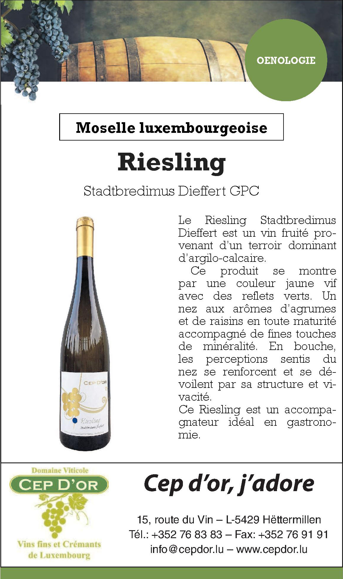 Cep d’or, j´adore